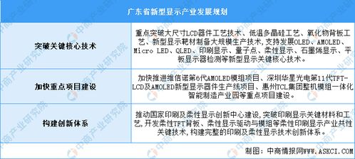 2024年广东省新型显示行业空间布局及发展方向预测分析 图